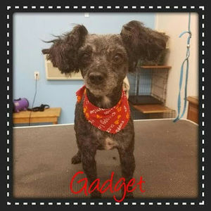 Meet your Posher, Patty